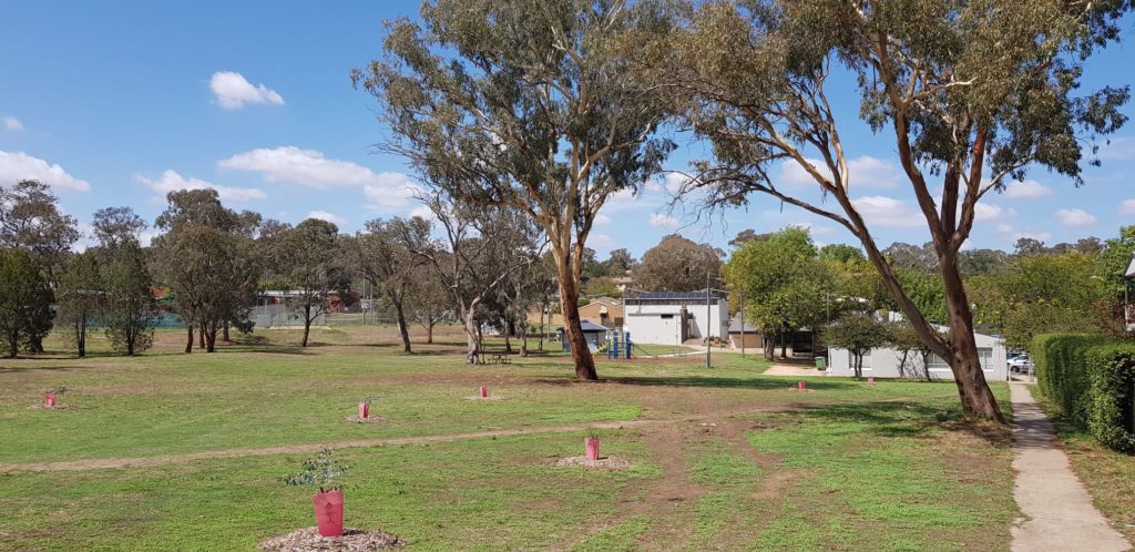 image of park behind Campbell Shops.